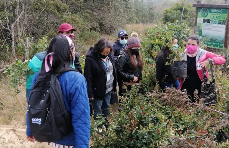 Sopó: sembraron 150 árboles en el Parque Ecológico Pionono
