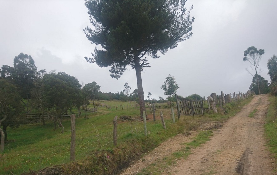 Abren convocatoria para proyectos ambientales en Cundinamarca