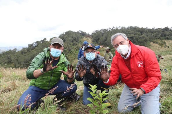 Jornada de reforestación en el Páramo de Guerrero