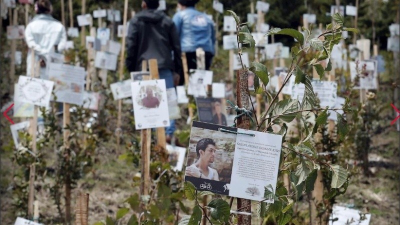 Siembran páramo de Guerrero con cenizas de víctimas de covid