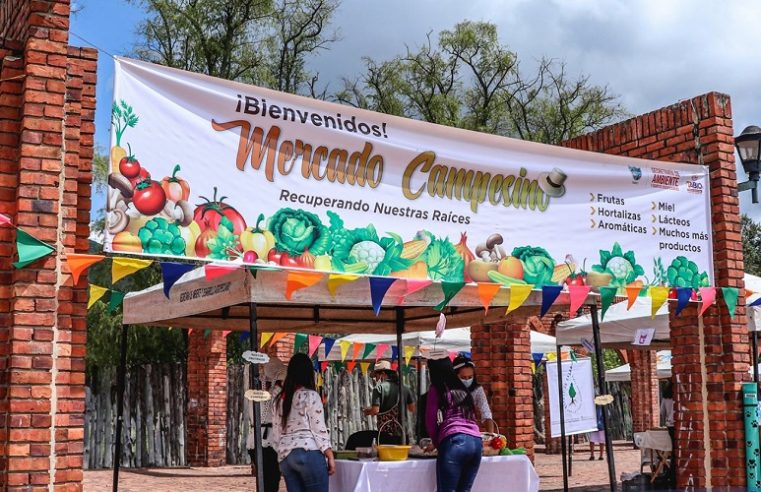 “El Mercado Campesino de Tabio es una oportunidad para todos los emprendedores de la región” (+ VIDEO)