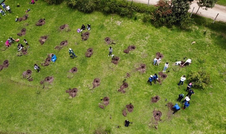 Sopó: Realizan jornada de reforestación en honor a fallecidos por Covid-19