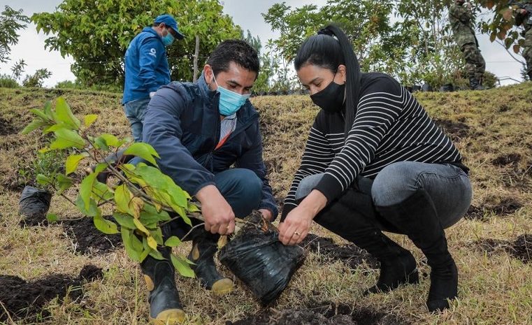 Día del árbol: Siembran 1.000 árboles en el municipio Nemocón