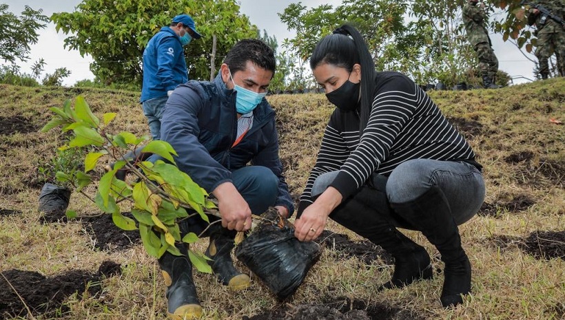 Día del árbol: Siembran 1.000 árboles en el municipio Nemocón