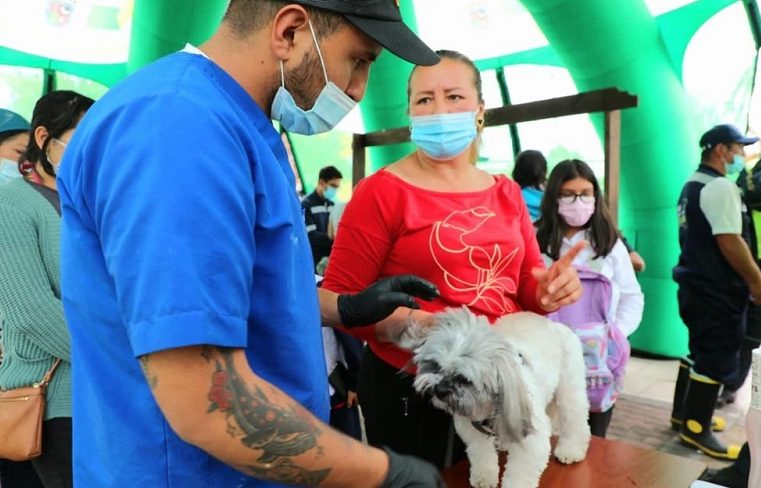 Chía realizó ‘Feria de Bienestar Animal’