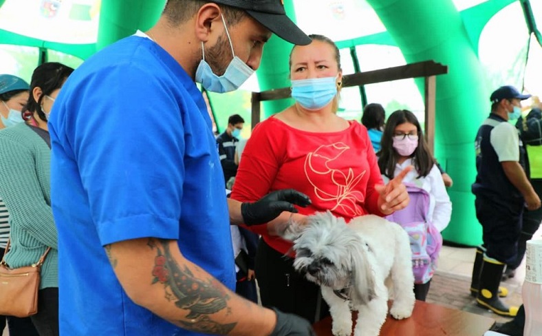 Chía realizó ‘Feria de Bienestar Animal’