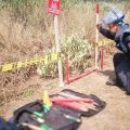 En medio de la conmemoración de los cinco años del acuerdo de Paz el Alto Comisionado para la Paz, Juan Camilo Restrepo, anunció que en los próximos 10 días el gobierno declarará tres nuevas zonas del país como libre de sospecha por minas antipersona.