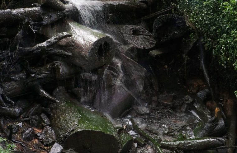 Quebrada El Amoladero: Una historia de trabajo comunitario por la preservación de la vida