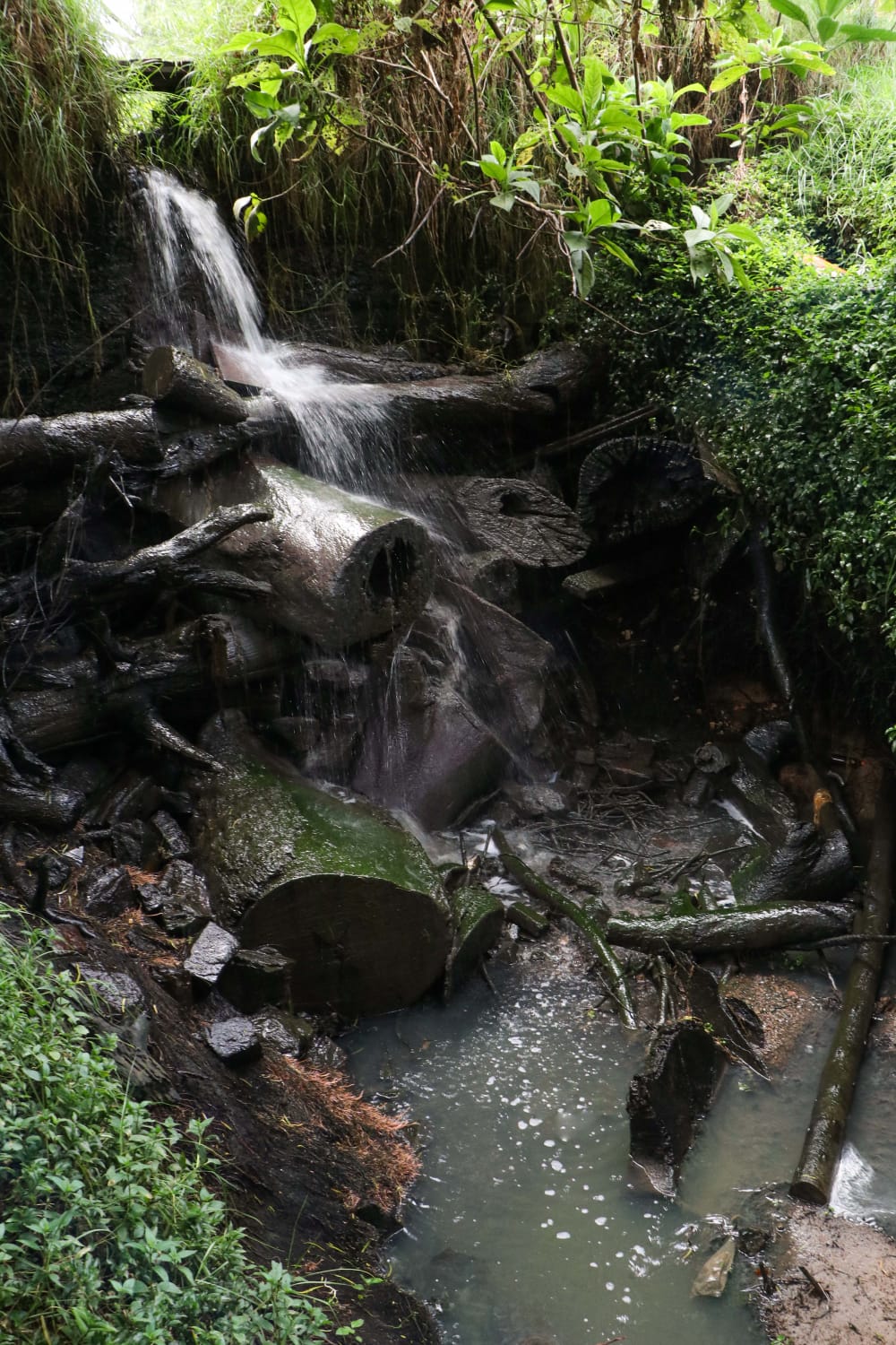 Quebrada El Amoladero: Una historia de trabajo comunitario por la preservación de la vida