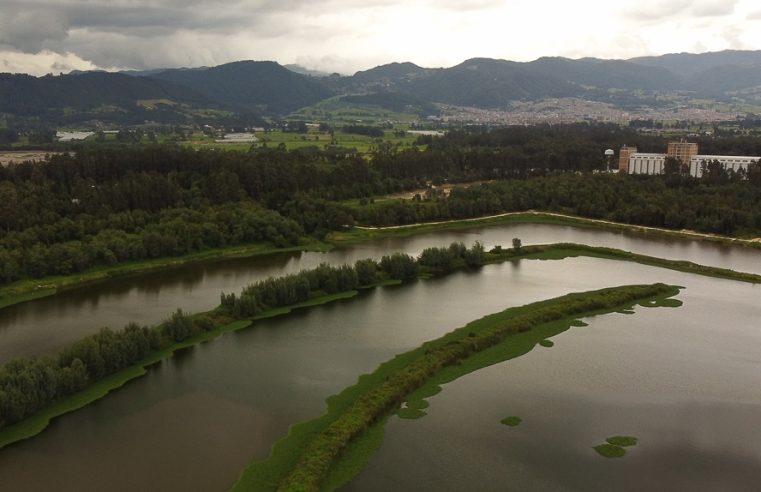 Metales podrían liberarse en los ríos Neusa y Bogotá si se aprueba la explotación minera en Cogua