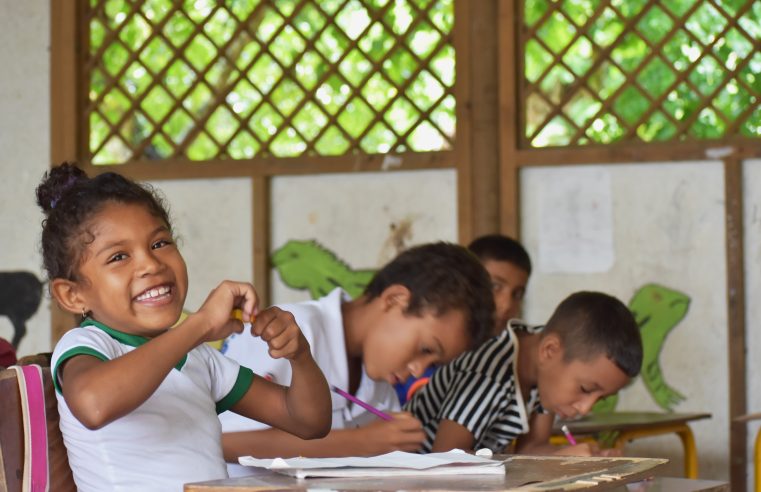 ¿Las niñas y los niños de Colombia saben leer? 