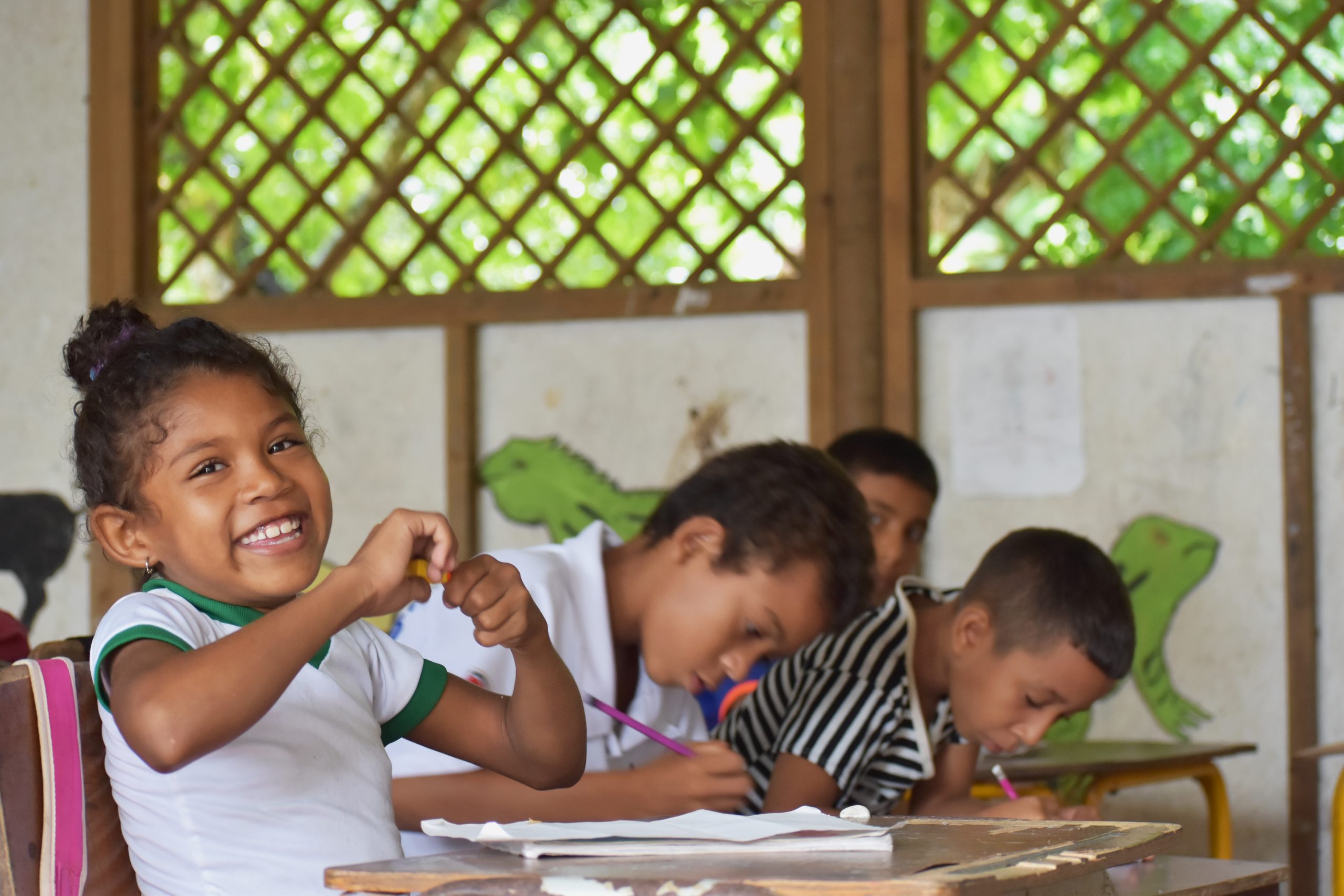 ¿Las niñas y los niños de Colombia saben leer? 