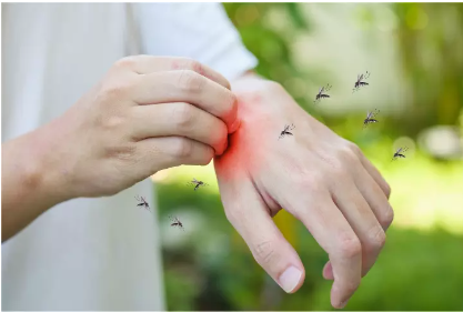 Dengue: signos, síntomas y recomendaciones para prevenirlo