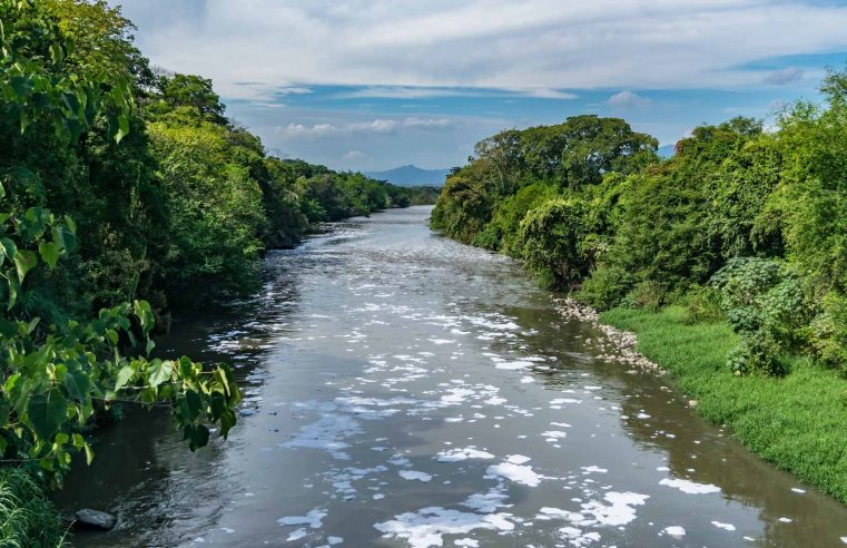 El Renacer del Río Bogotá: Descontaminación Urgente para Garantizar un Futuro Sostenible + Video