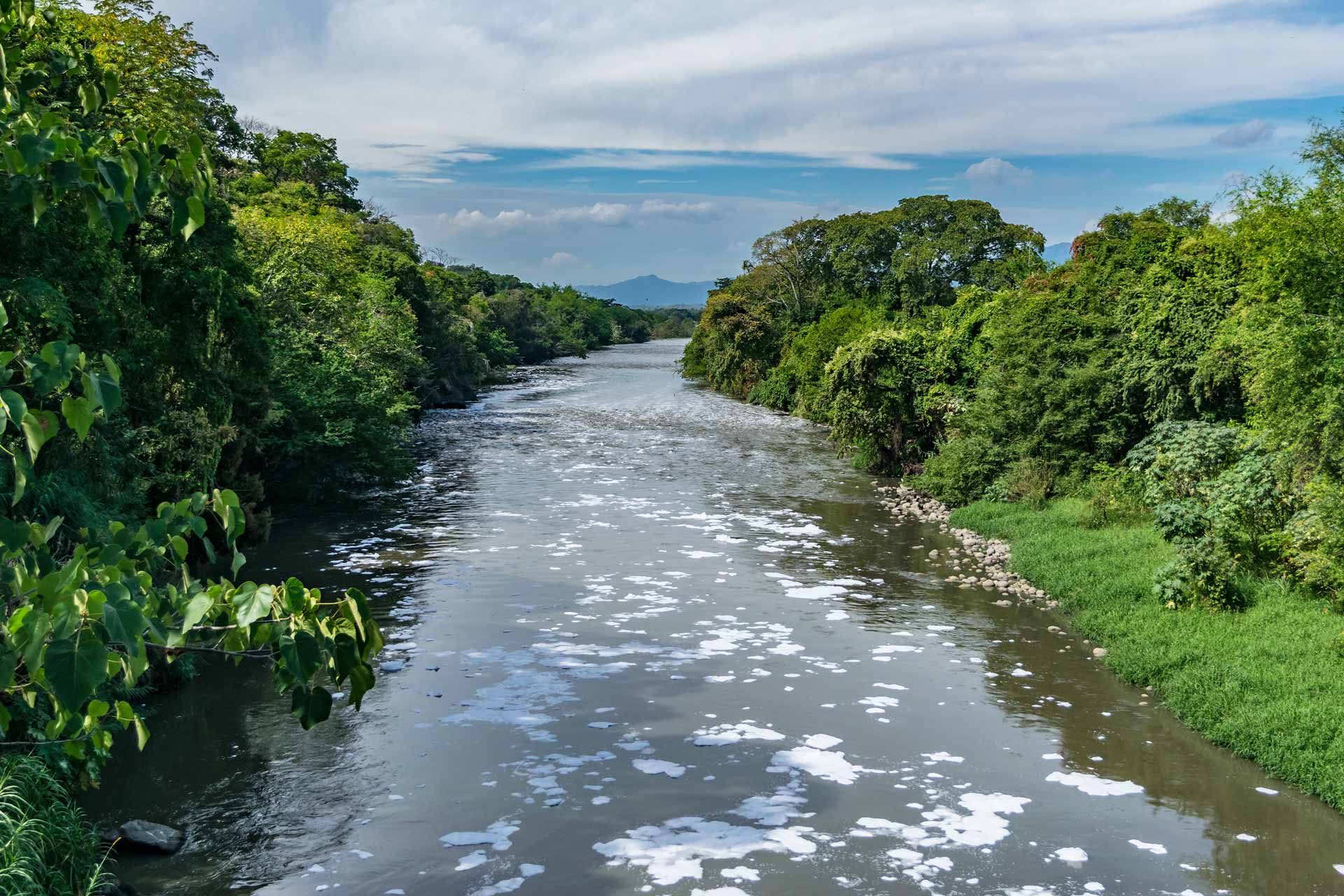 El Renacer del Río Bogotá: Descontaminación Urgente para Garantizar un Futuro Sostenible + Video