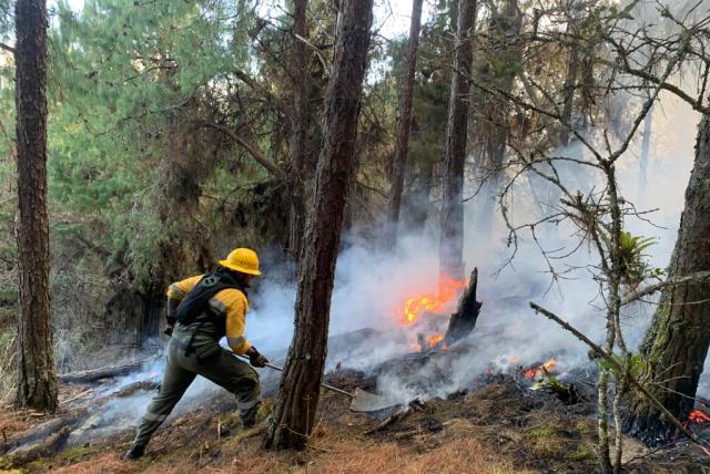 Aumentan Alarmantemente los Incendios Forestales en Cundinamarca: Más de 100 Hectáreas Afectadas en 11 Días