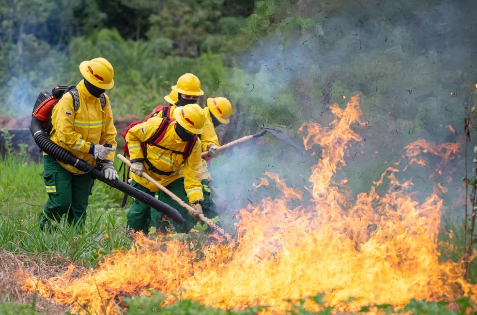 Emergencia por Incendios en Cundinamarca: Desafío en la Lucha contra el Fuego