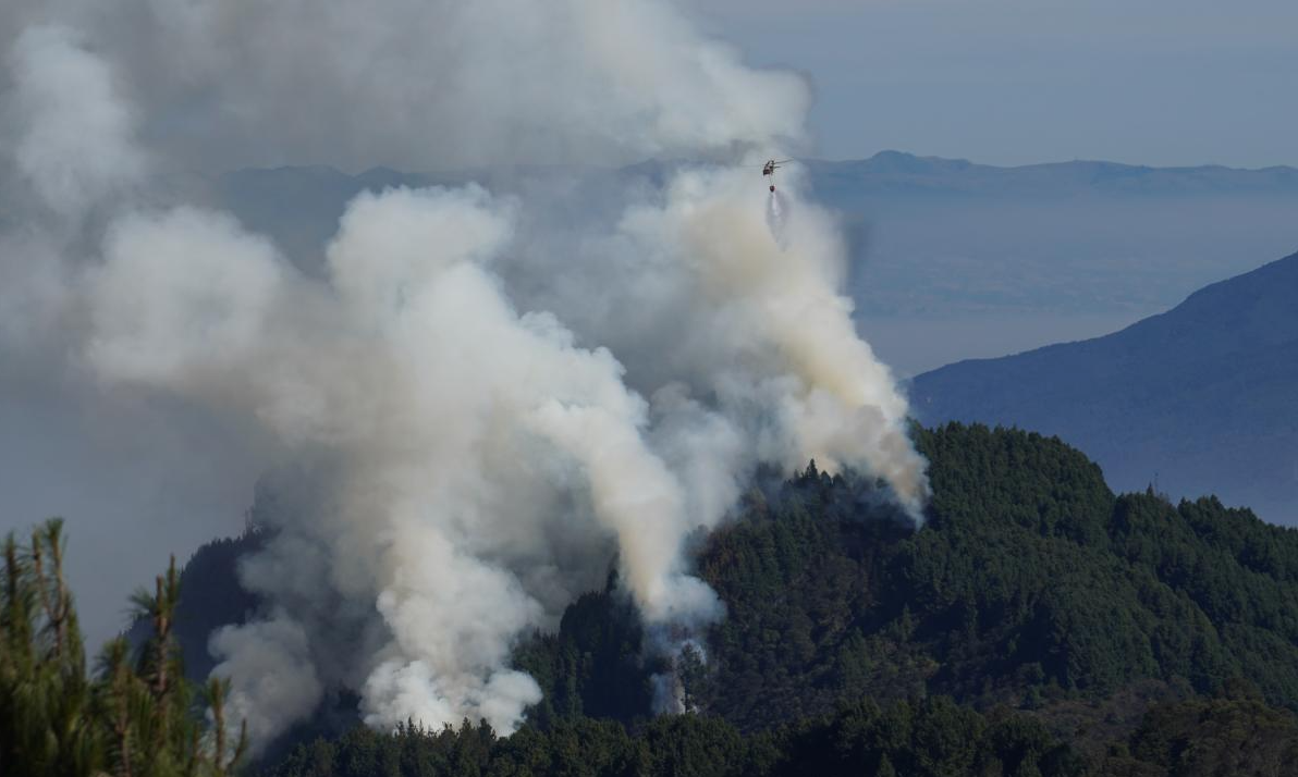 Emergencia por Incendios Forestales: Cierre de 40 Parques Naturales en Bogotá, Colombia