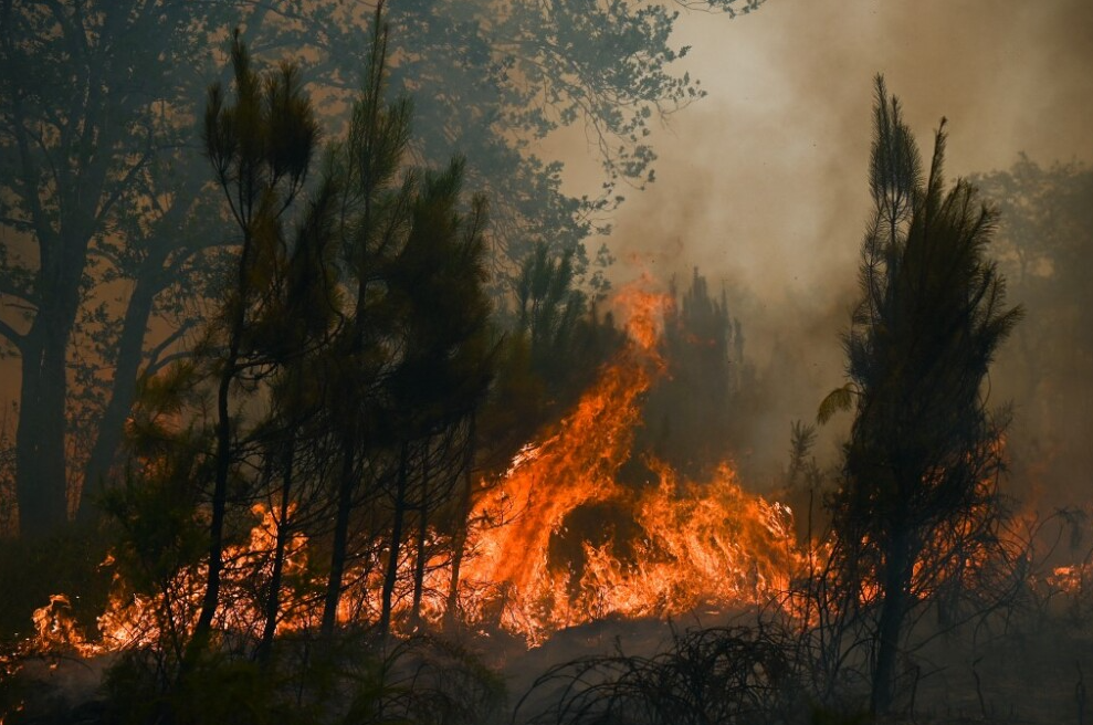 Alerta Roja en el Caribe Colombiano: Emergencia Climática por Incendios y Temperaturas Extremas