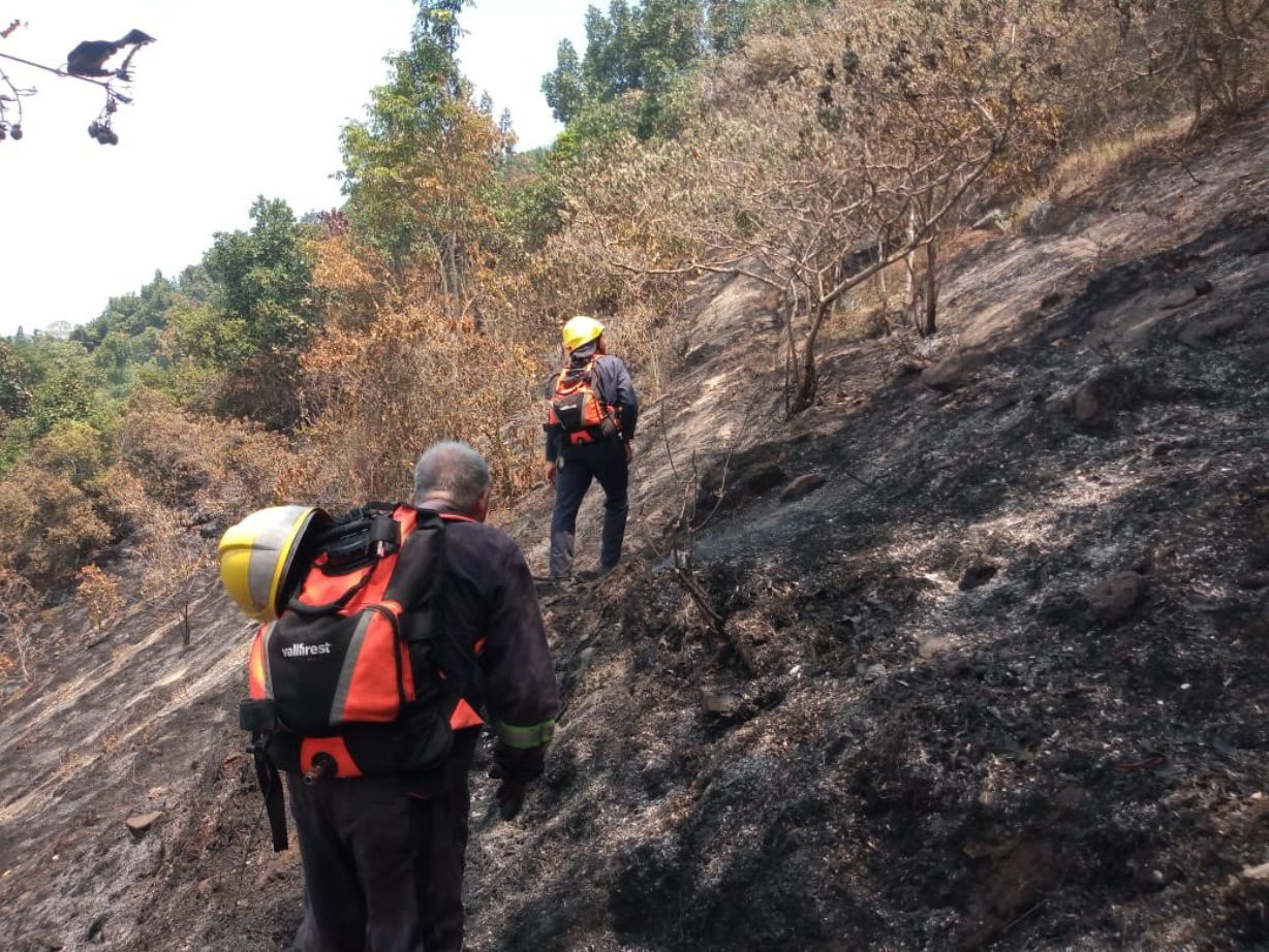 Respuesta Eficaz ante Incendios Forestales: Controlado el 95% del Siniestro en Tibacuy