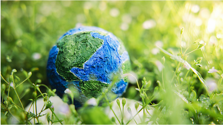 Planeta versus Plásticos: El Día Mundial de la Tierra 2024