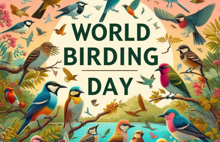 Global Big Day: El Día Mundial de la Observación de Aves