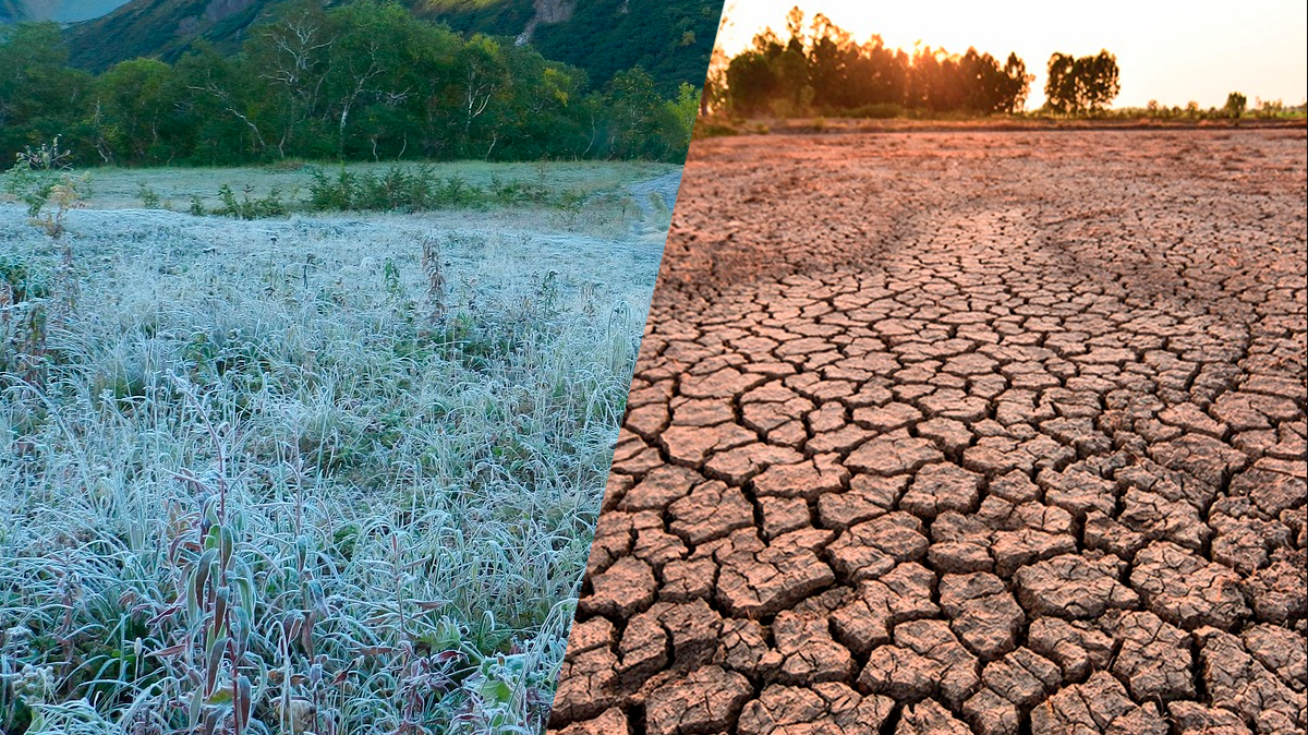 Superación del Fenómeno de El Niño: Perspectivas y Retos para Colombia