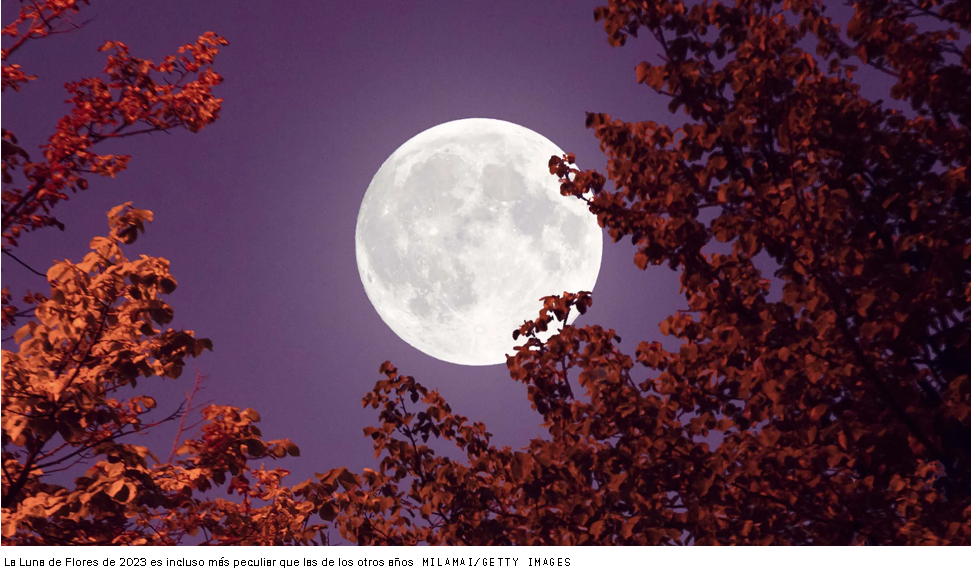 Luna de Flores 2024: Guía para Disfrutar del Fenómeno Astronómico de Mayo