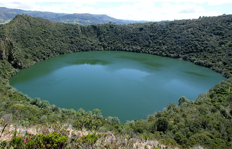 Cundinamarca: Un Tesoro de Biodiversidad en el Corazón de Colombia