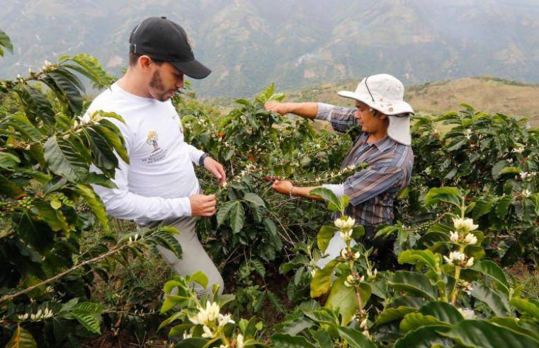 Impacto de La Niña en los Cultivos: Desafíos y Previsiones para el Agro Colombiano