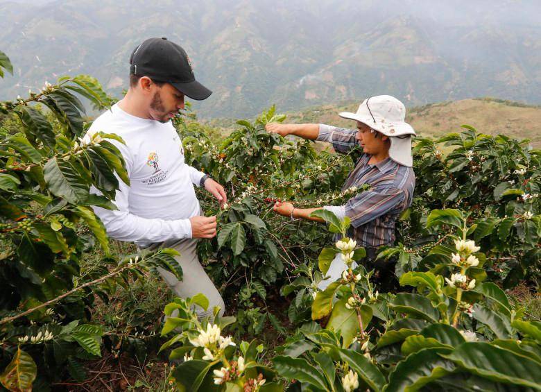 Impacto de La Niña en los Cultivos: Desafíos y Previsiones para el Agro Colombiano
