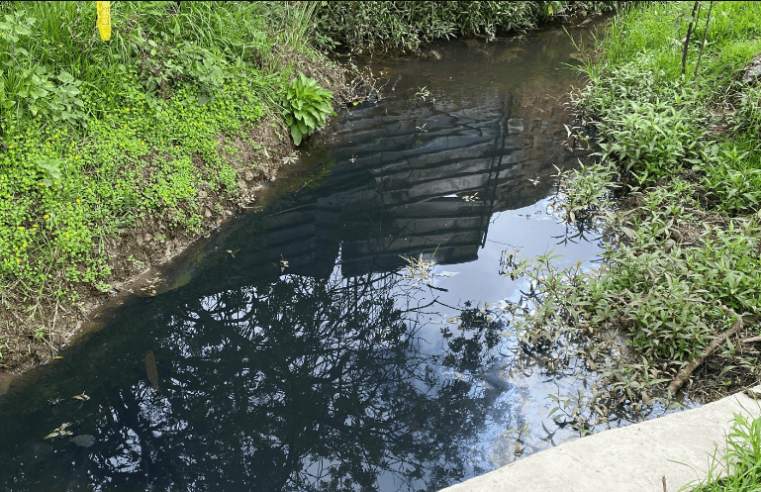 Investigaciones en Conjunto Residencial de Zipaquirá por Contaminación de la Quebrada El Molino