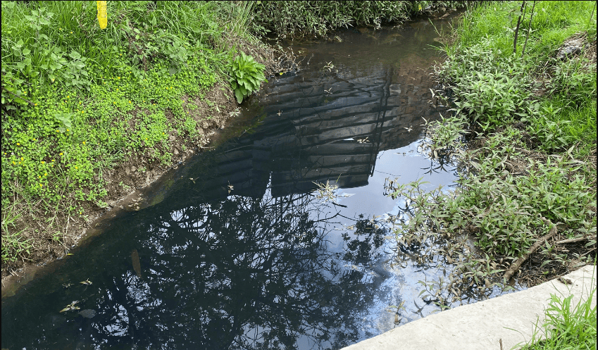 Investigaciones en Conjunto Residencial de Zipaquirá por Contaminación de la Quebrada El Molino