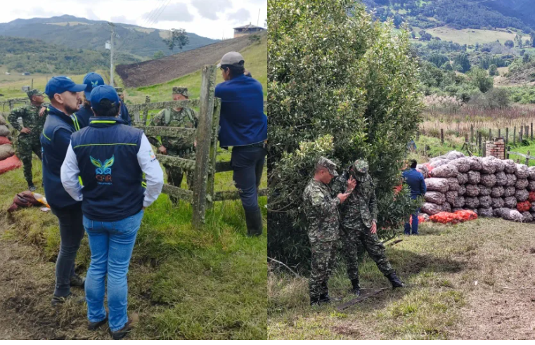 CAR Impone Medida Preventiva a Cultivador de Papa por Invadir Páramo en Subachoquel