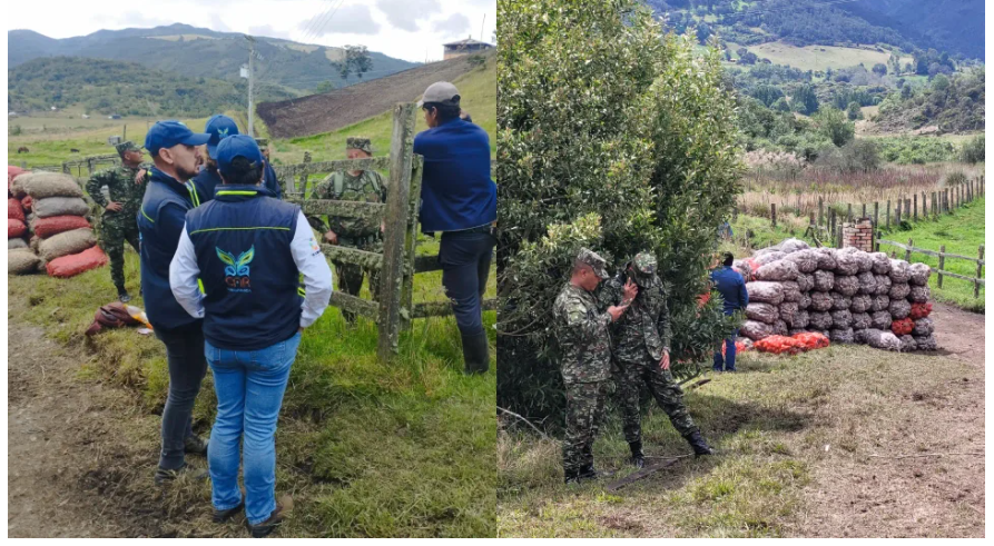 CAR Impone Medida Preventiva a Cultivador de Papa por Invadir Páramo en Subachoquel