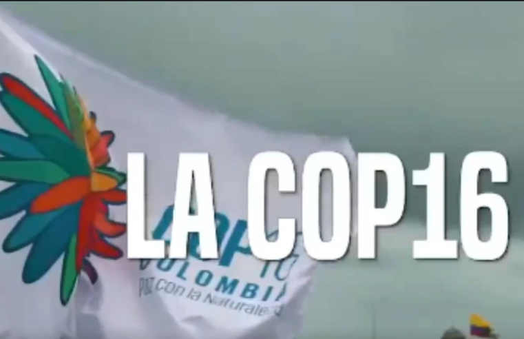 MinAmbiente Presenta Cuatro Objetivos Clave para la COP16