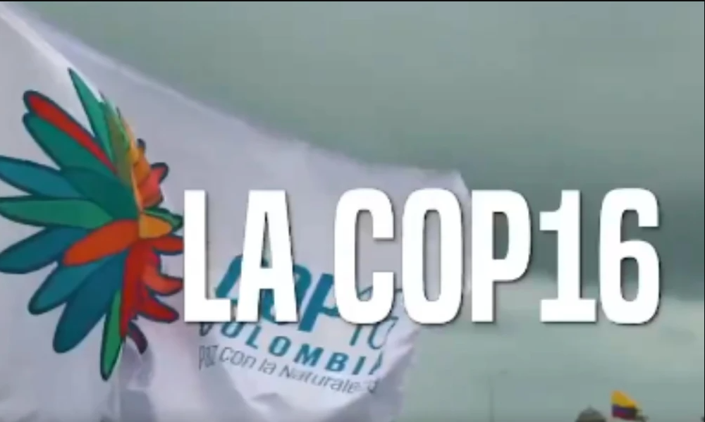 MinAmbiente Presenta Cuatro Objetivos Clave para la COP16