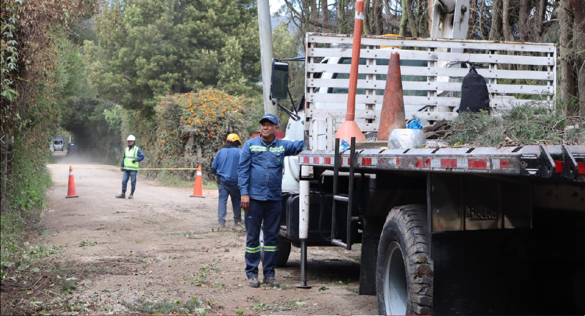 Jornadas de Poda de Árboles en Vías Rurales de Martín y Espino