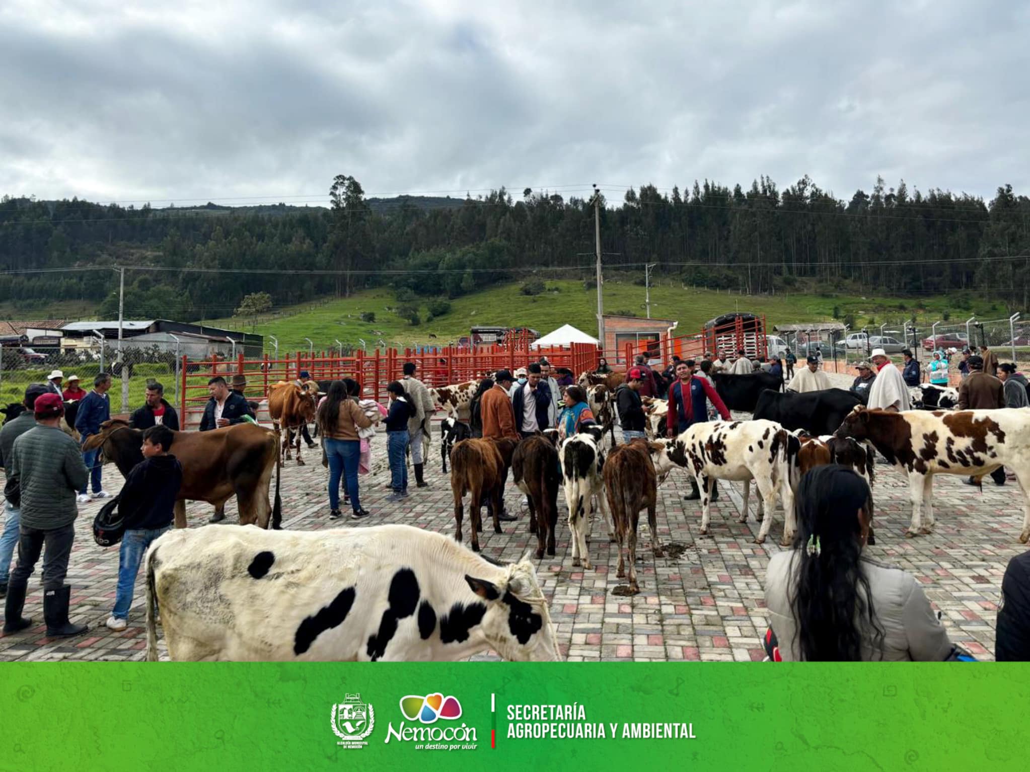 Nemocón Celebra Exitosa Feria Comercial y Ganadera en Junio