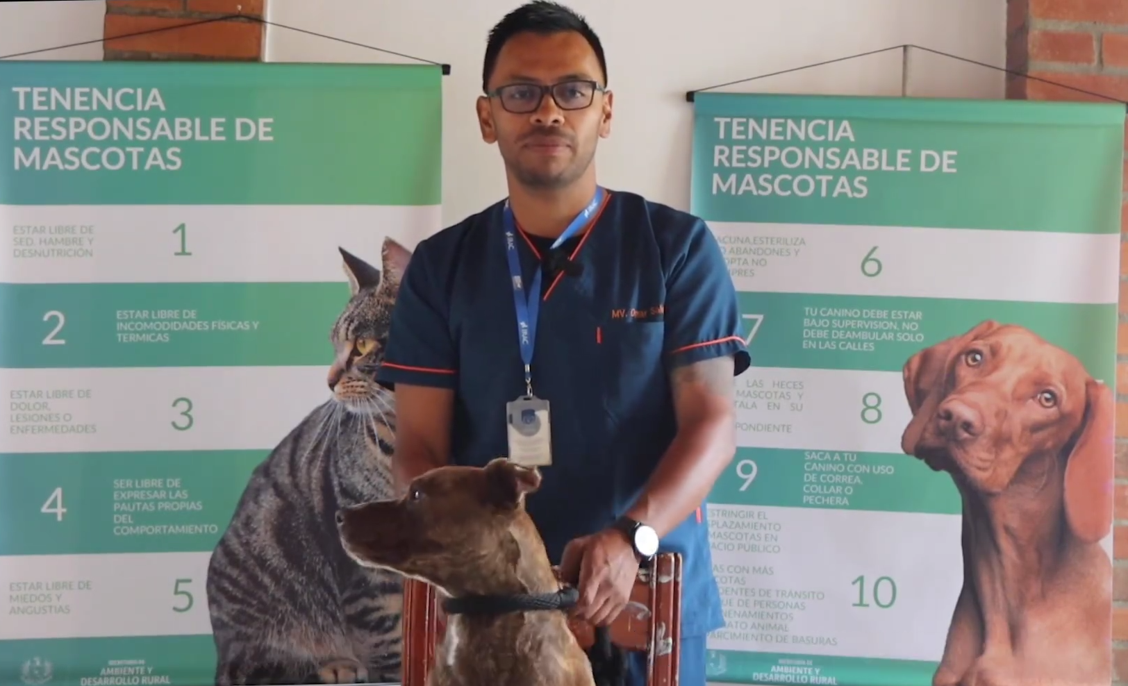 Recomendaciones para la Tenencia Responsable de Mascotas en Cajicá + Video