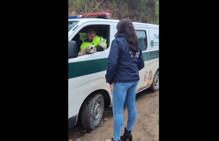 Promoción de la Sana Convivencia y Prevención del Bullying en Estudiantes + Video