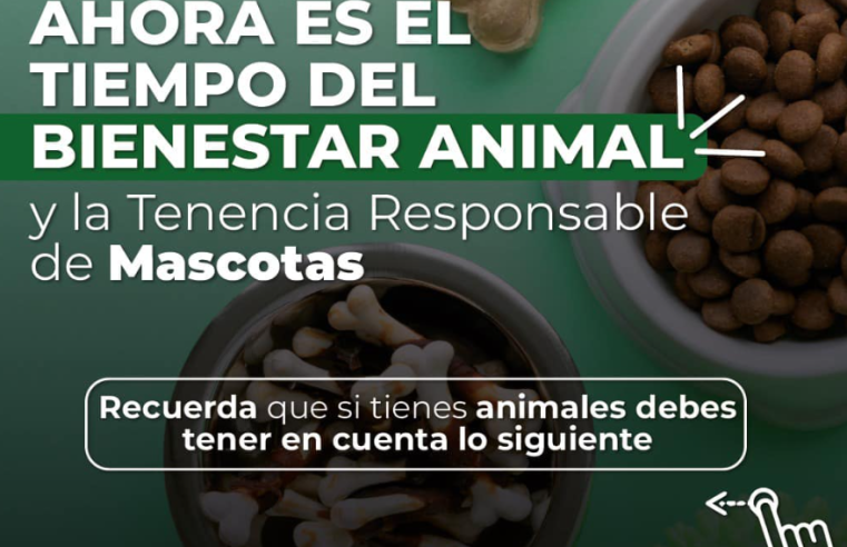 Responsabilidad y Bienestar Animal: Clave para una Convivencia Armoniosa