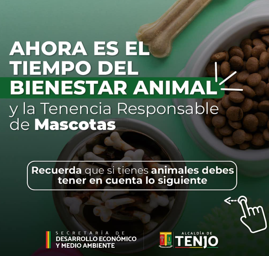 Responsabilidad y Bienestar Animal: Clave para una Convivencia Armoniosa