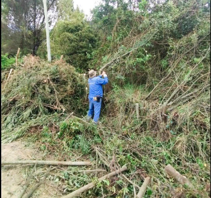 Mantenimiento Vial en Nemocón: Limpieza y Mejora de Vías Rurales