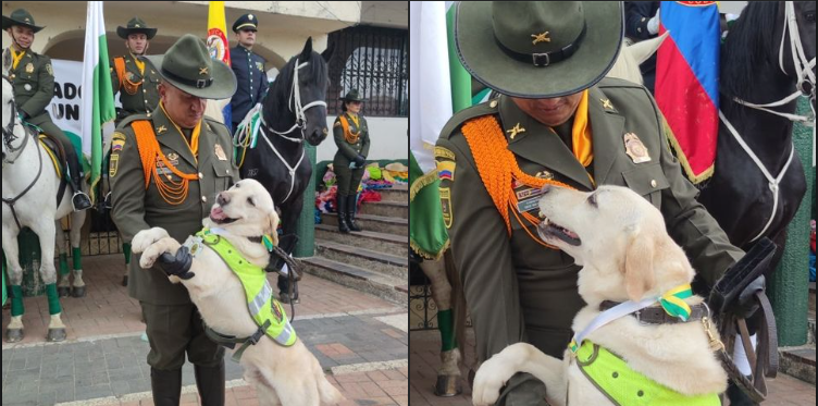 Mell, el Perro Héroe de la Unidad Antiexplosivos, se Retira tras Cinco Años de Servicio