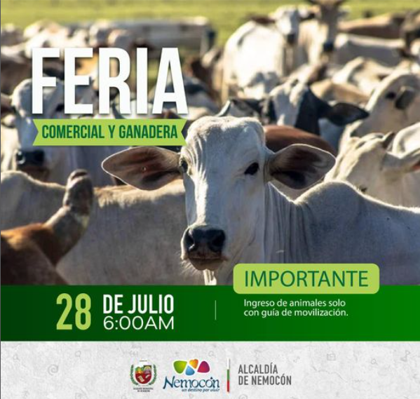 Feria Comercial y Ganadera en Nemocón: Impulsando un Destino Productivo y Sostenible