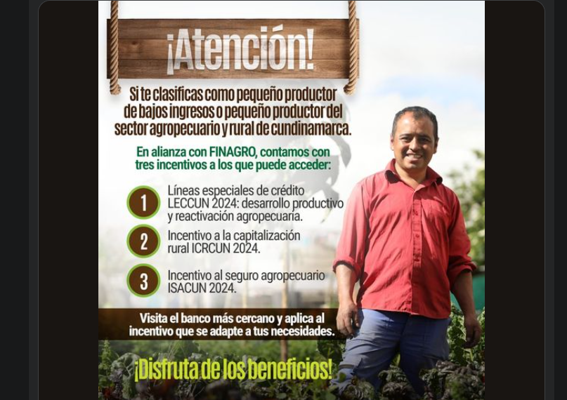 Convocatoria de Apoyo Financiero para Pequeños Productores en Tábio