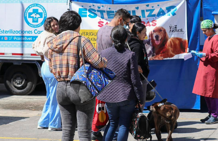 Jornada de Esterilización y Desparasitación Canina y Felina: Un Gran Éxito