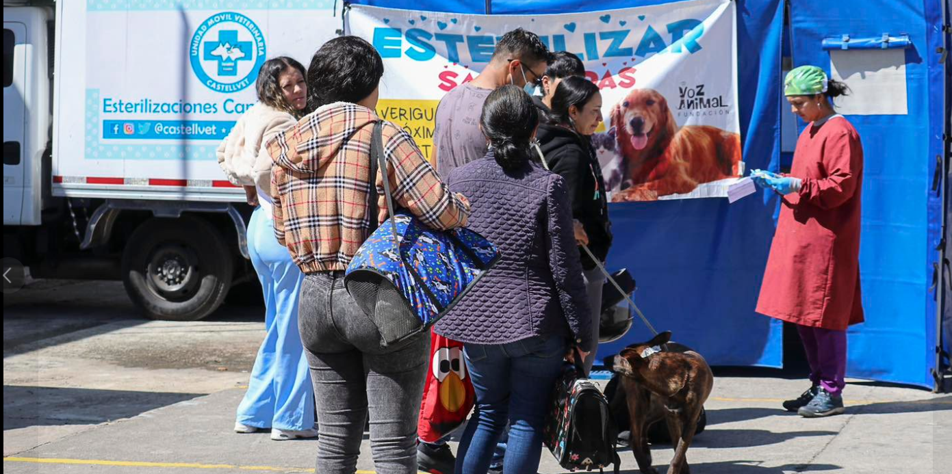 Jornada de Esterilización y Desparasitación Canina y Felina: Un Gran Éxito