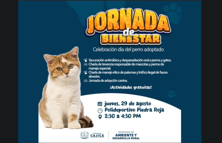 Jornada de Bienestar Animal en Piedra Roja Organizada por la Secretaría de Ambiente y Desarrollo Rural